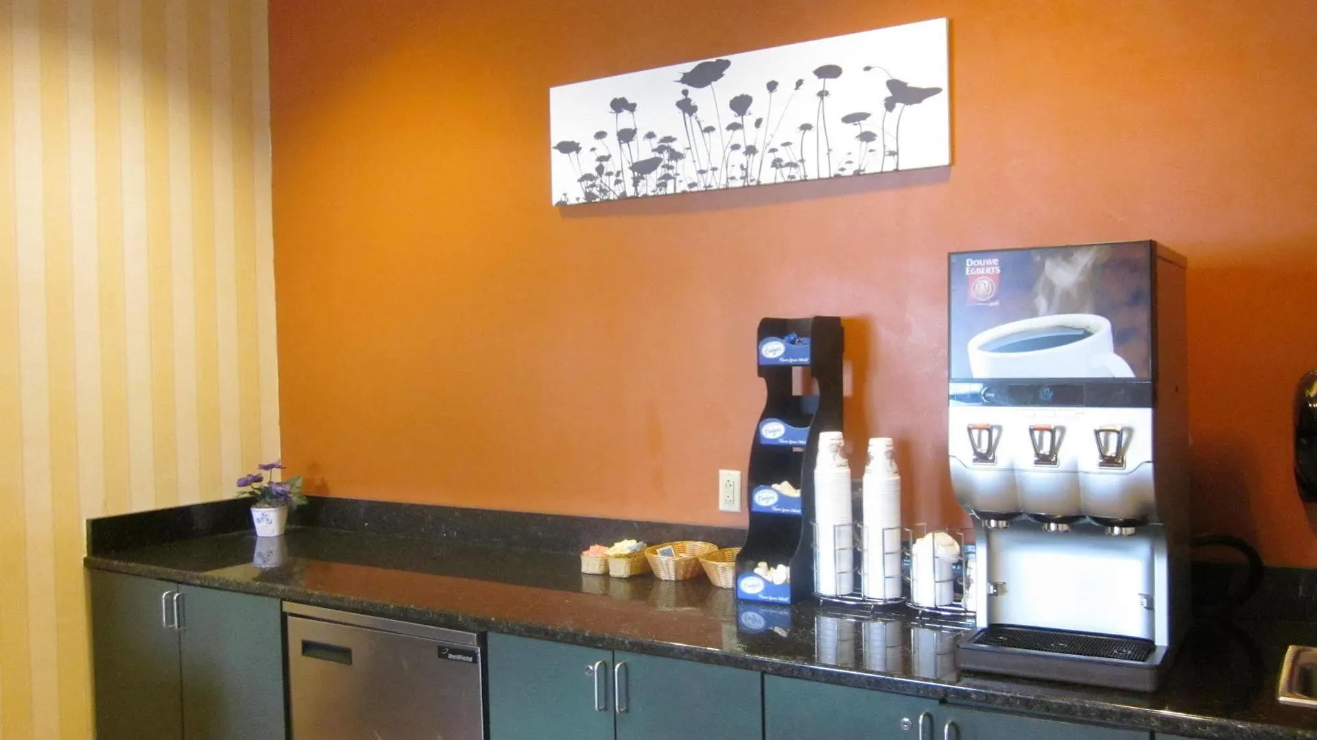 Quality Suites Lake Wright - Norfolk Airport 3*,  United States